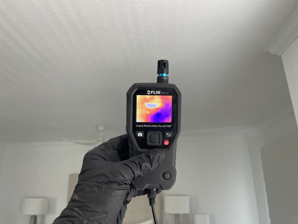 Mold Remedies - mold inspector in Burlingame, CA