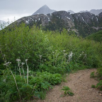 Indian Valley Trail - powerline pass going up to Homicide Peak - Hiking Near Me - Anchorage, Alaska