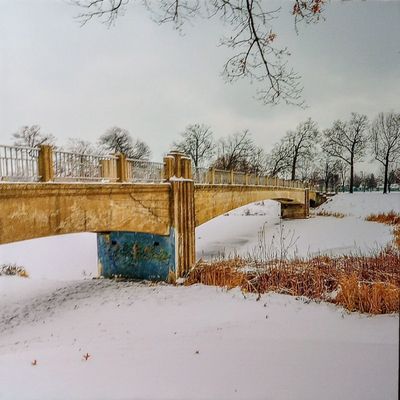 Lincoln Park by null