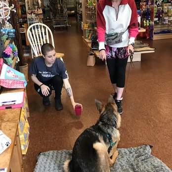 Pawsitive Practice Training & Behavior Consulting - Learning to wait. - Pet Training Near Me - Tallahassee, Florida