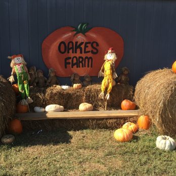 Oakes Farm - Attraction Farms Near Me - Corryton, Tennessee Oakes Farm - Attraction Farms Near Me - Corryton, Tennessee