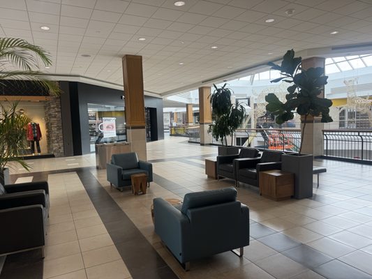 The Dapper Doughnut by null