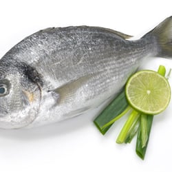 The Cornish Fishmonger