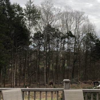 Thompson's Tree Service - Tree Services Near Me - Clarksville, Tennessee Thompson's Tree Service - Tree Services Near Me - Clarksville, Tennessee