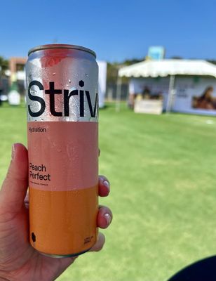 Del Mar Wine + Food Festival by null