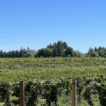 Rowell Bros - Fruits & Veggies Near Me - Hillsboro, Oregon Rowell Bros - Fruits & Veggies Near Me - Hillsboro, Oregon