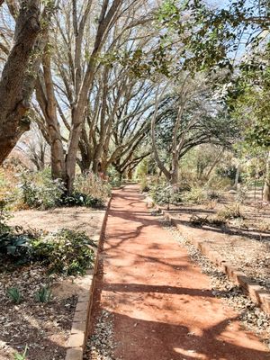 Clark Gardens by null