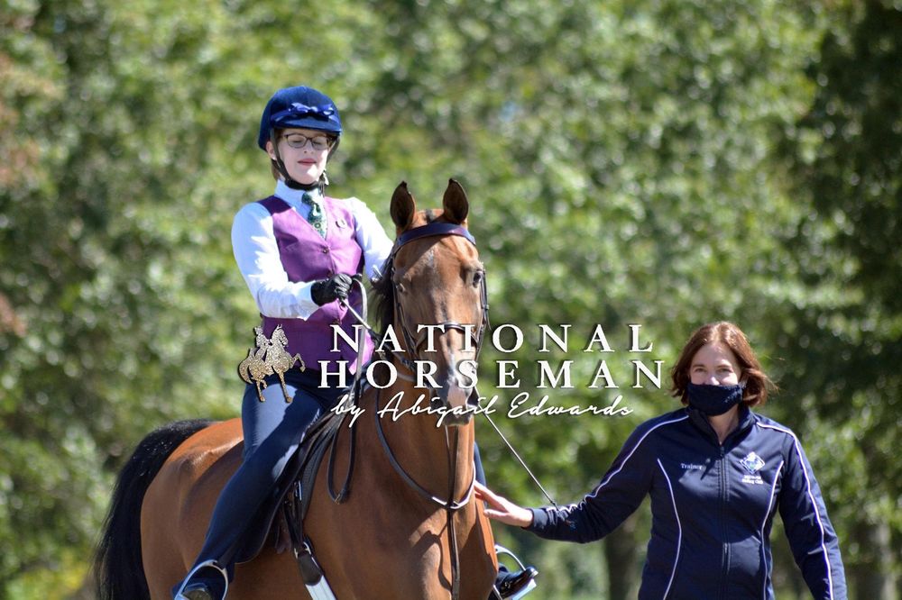 Millstone Riding Club - equestrian in Springfield, NJ