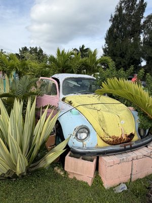 Camellia Street Grill by null