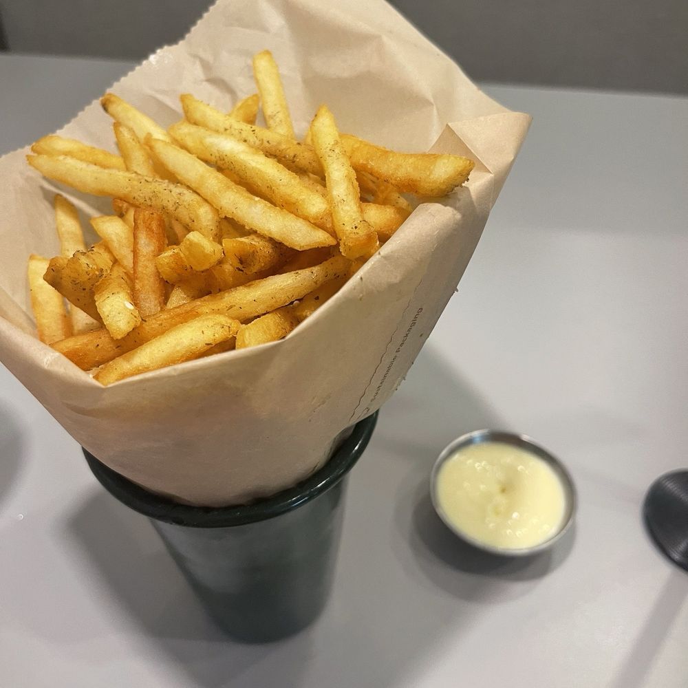 Craft Pita - Fries with Garlic Aoli - Mediterranean Near Me - Houston, Texas