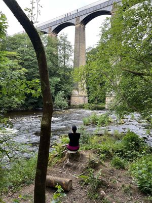 Pontcysyllte Aqueduct by null