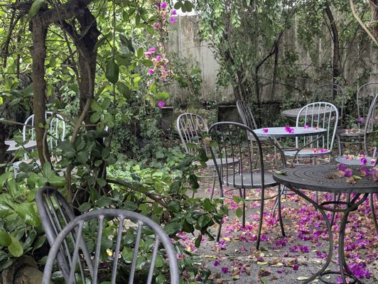 Garden House Cafe by null