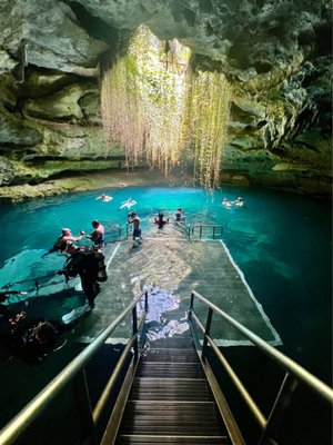 Devil's Den Prehistoric Spring and Campground by null