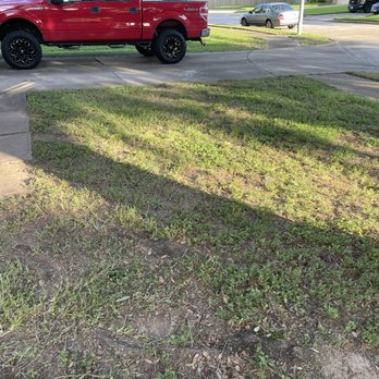 MrLopez landscaping & Tree service - Front yard pic. - Landscaping Near Me MrLopez landscaping & Tree service - Front yard pic. - Landscaping Near Me
