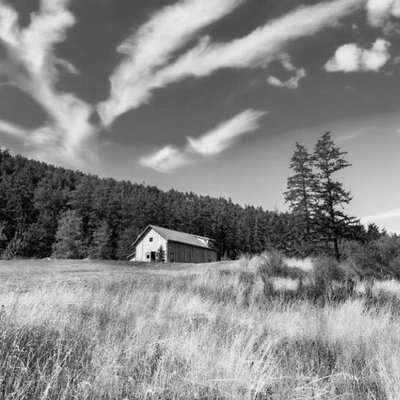 Orcas Island Winery by null