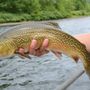 Photo of Sweetwater Guide Service