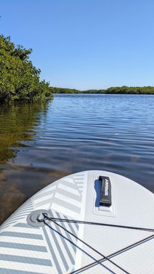 J.N. "Ding" Darling National Wildlife Refuge Visitor and Education Center by null
