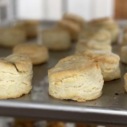 Gluten-Free Biscuits By Daddy-O