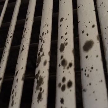 Mold In Ac Vents >> Mold In Ac Vent Yelp Mold In Ac Vents >> Mold In Ac Vent Yelp