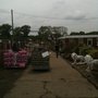 Photo of Finchley Nurseries Garden Centre