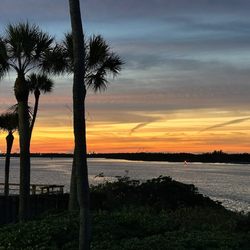 Manatee Island Bar and Grill - Sunset At Manatee's