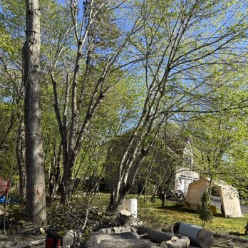 Zach's Tree Service - Tree Services Near Me - Chelsea, Maine Zach's Tree Service - Tree Services Near Me - Chelsea, Maine