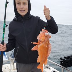 Bent Rod Sportfishing