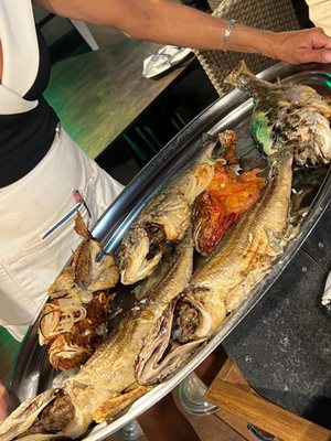 Restaurant Le Voilier Bonifacio by null