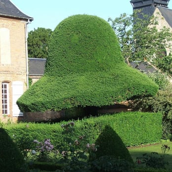 Le Restaurant If - French Near Me - Gerberoy, 60