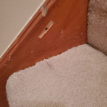 EC Projects - Chip taken out of the trim. The rougher dent on top was pre-existing. - Handyman Near Me EC Projects - Chip taken out of the trim. The rougher dent on top was pre-existing. - Handyman Near Me