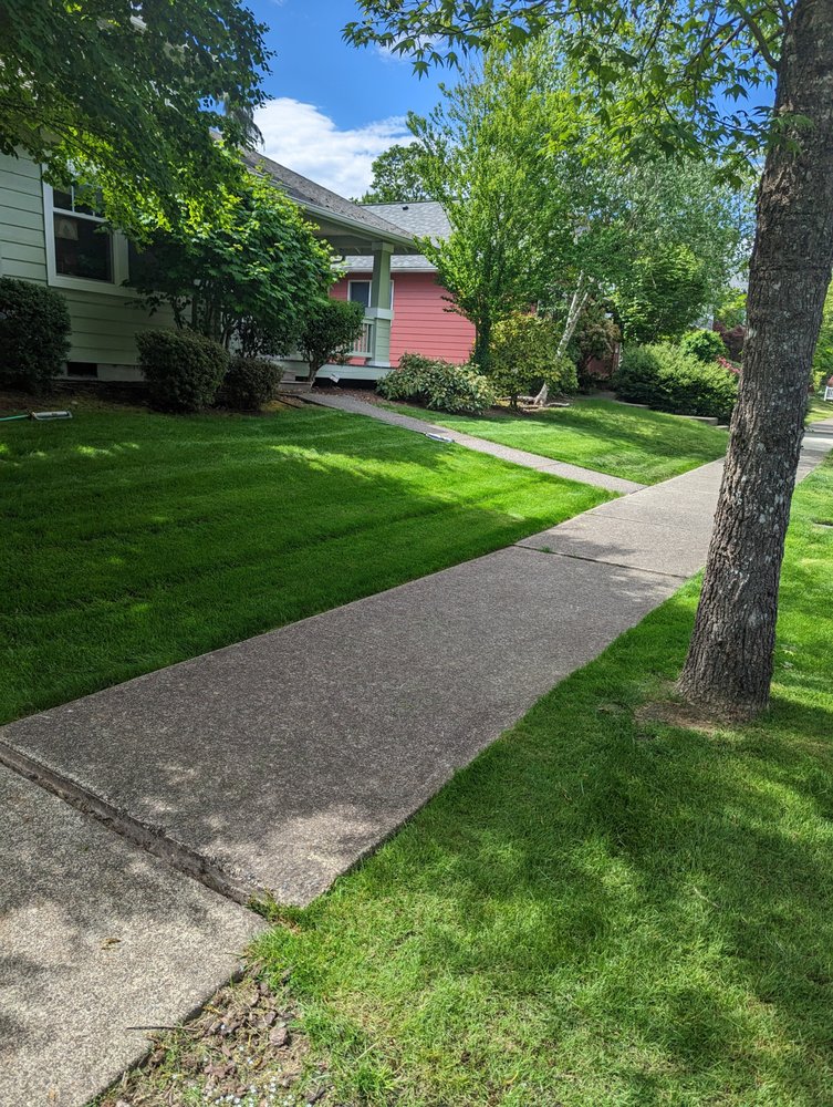 BLADE MASTERS LAWN CARE Updated September 2024 DuPont, Washington