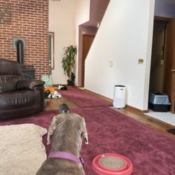 Carpet Warehouse Inc