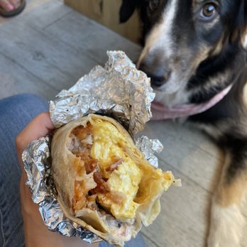 Current Cafe & Lounge - Breakfast burrito ft. my pup :) - Cafes Near Me - Tillamook, Oregon Current Cafe & Lounge - Breakfast burrito ft. my pup :) - Cafes Near Me - Tillamook, Oregon