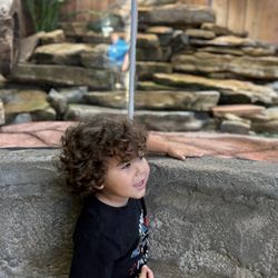 Newport Aquarium