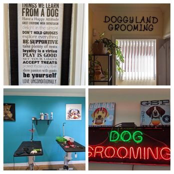 Doggy Land Grooming - New place is very nice. - Pet Groomers Near Me - Downey, California Doggy Land Grooming - New place is very nice. - Pet Groomers Near Me - Downey, California