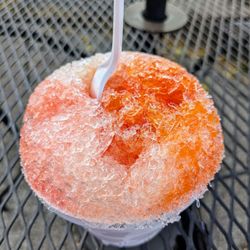 Tropical Moose Shaved Ice - 3 flavors