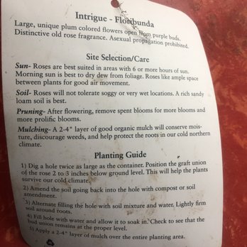 Jeff's Garden Shop - The description reads PLUM. - Nurseries & Gardening Near Me - Matamoras, Pennsylvania Jeff's Garden Shop - The description reads PLUM. - Nurseries & Gardening Near Me - Matamoras, Pennsylvania