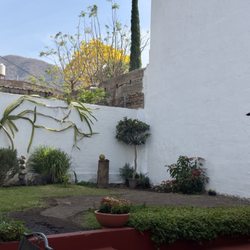 Machimá - View from patio is very peaceful