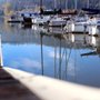 Photo of Pelican Marina
