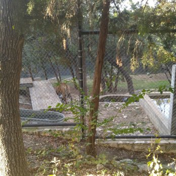 Austin Zoo - Zoos Near Me - Austin, Texas