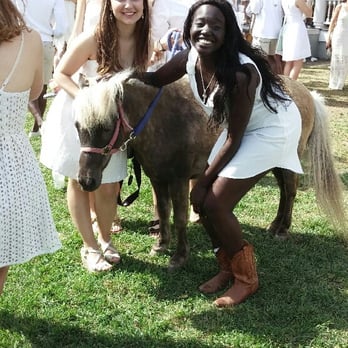 Takotas Ponies - Recent fraternity gathering - Party & Event Planning Near Me - Georgetown, Texas