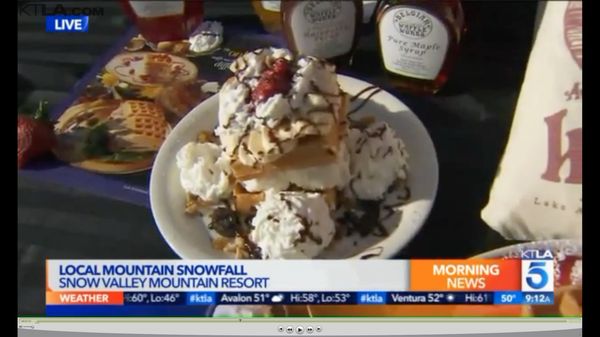 Belgian Waffle Works by null