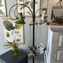 Photo of Cindarella's Attic LLC