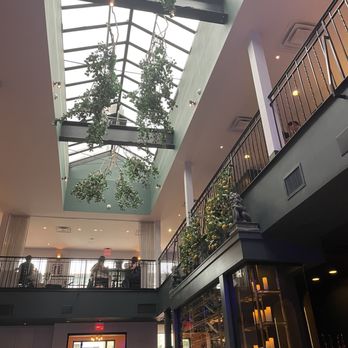 Al-Posto - Love the lemon trees! Positano vibes! - Italian Near Me - Cincinnati, Ohio Al-Posto - Love the lemon trees! Positano vibes! - Italian Near Me - Cincinnati, Ohio