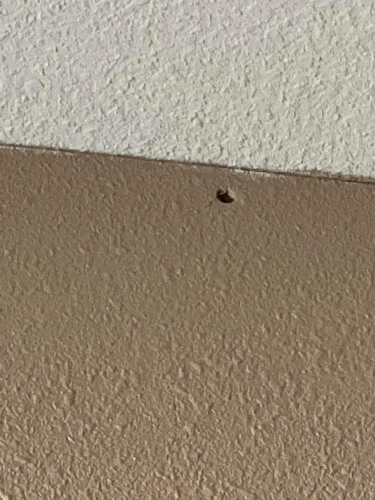 Slide of DC&H Construction