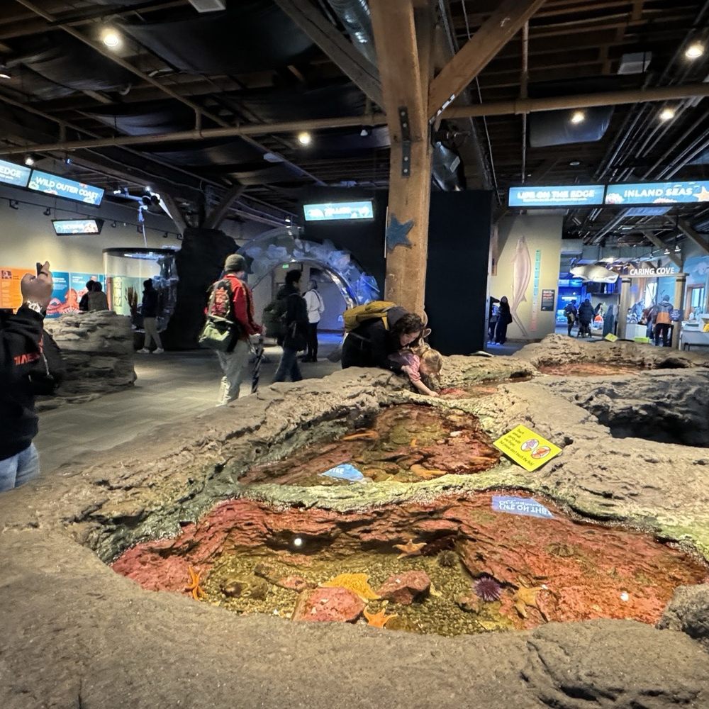 Seattle Aquarium - Aquariums Near Me - Seattle, Washington Seattle Aquarium - Aquariums Near Me - Seattle, Washington