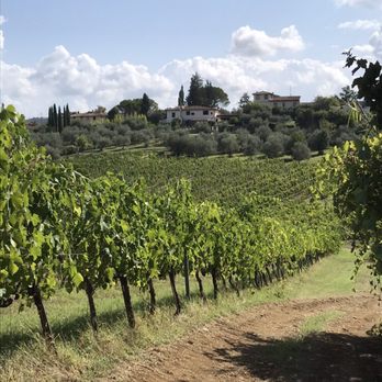 Walkabout - Tours Near Me - Florence, FI Walkabout - Tours Near Me - Florence, FI