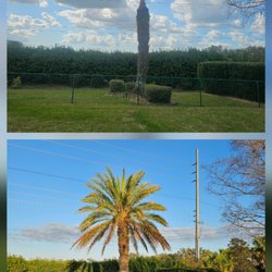 Hiles Tree Service
