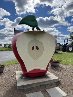 Marker-Miller Orchards by null
