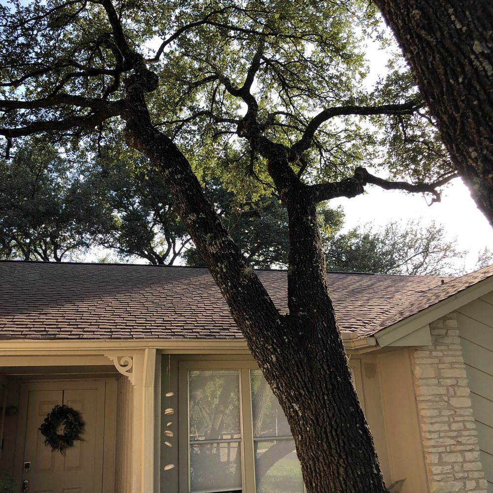 Munoz Tree Service - Tree Services Near Me Munoz Tree Service - Tree Services Near Me